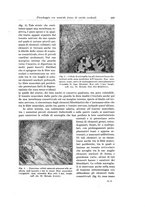 giornale/PUV0110166/1932/V.31/00000525