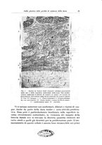 giornale/PUV0110166/1932/V.32/00000031