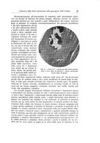 giornale/PUV0110166/1932/V.32/00000059