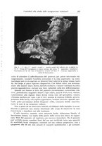 giornale/PUV0110166/1932/V.32/00000213