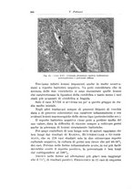 giornale/PUV0110166/1932/V.32/00000334