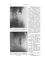 giornale/PUV0110166/1932/V.32/00000612