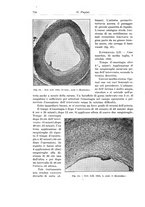 giornale/PUV0110166/1932/V.32/00000688