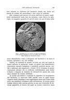 giornale/PUV0110166/1933/V.34/00000153
