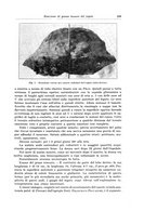 giornale/PUV0110166/1933/V.34/00000223