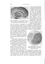giornale/PUV0110166/1933/V.34/00000252