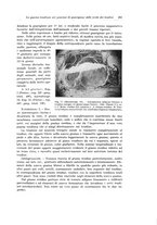 giornale/PUV0110166/1933/V.34/00000279