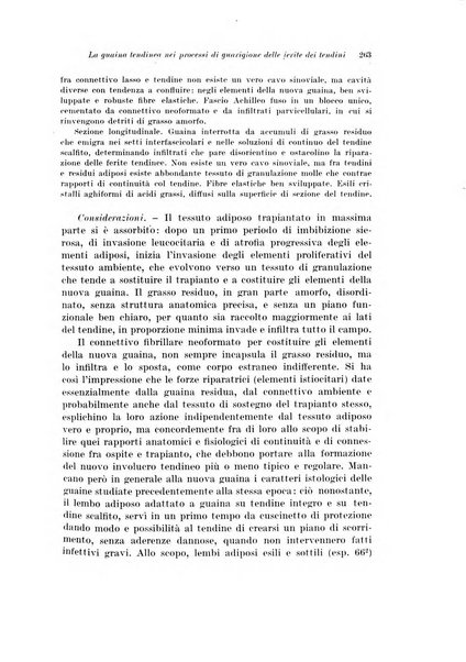 Archivio italiano di chirurgia