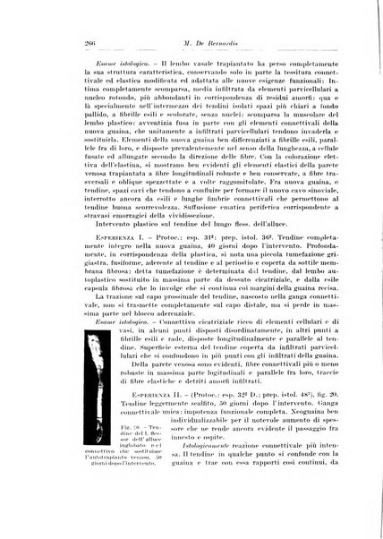 Archivio italiano di chirurgia