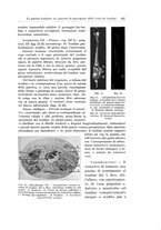 giornale/PUV0110166/1933/V.34/00000285