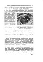 giornale/PUV0110166/1933/V.34/00000291