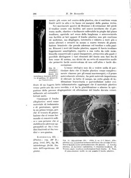 Archivio italiano di chirurgia