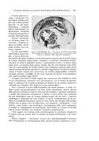 giornale/PUV0110166/1933/V.34/00000305