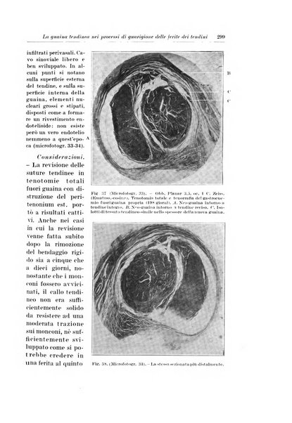 Archivio italiano di chirurgia