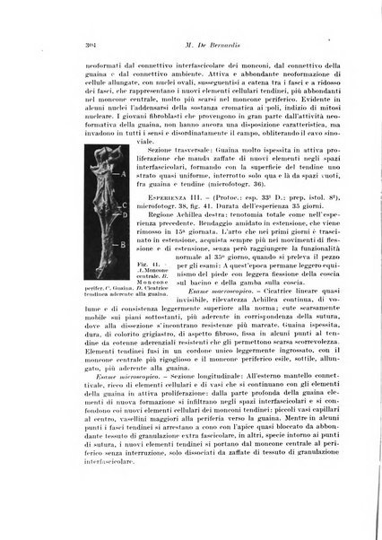 Archivio italiano di chirurgia