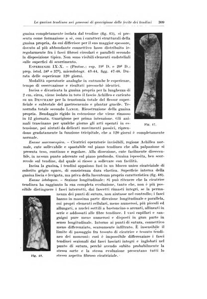 Archivio italiano di chirurgia