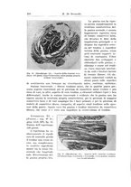 giornale/PUV0110166/1933/V.34/00000328