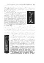 giornale/PUV0110166/1933/V.34/00000329