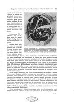 giornale/PUV0110166/1933/V.34/00000339