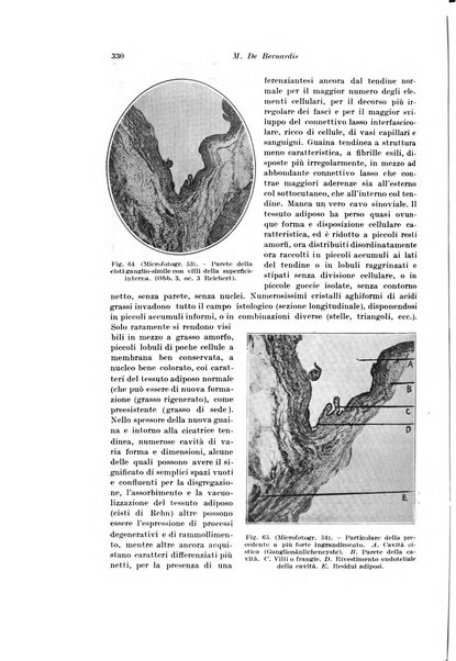 Archivio italiano di chirurgia