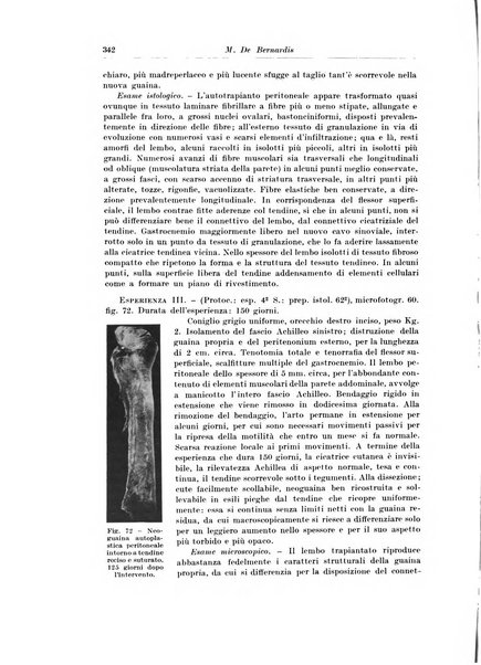 Archivio italiano di chirurgia