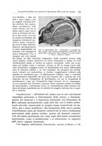 giornale/PUV0110166/1933/V.34/00000361