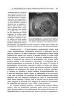 giornale/PUV0110166/1933/V.34/00000365