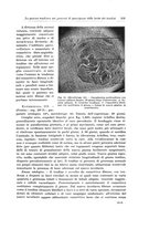 giornale/PUV0110166/1933/V.34/00000371