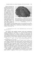 giornale/PUV0110166/1933/V.34/00000389