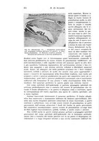 giornale/PUV0110166/1933/V.34/00000390