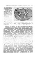 giornale/PUV0110166/1933/V.34/00000391