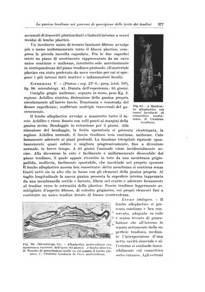 Archivio italiano di chirurgia