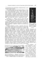 giornale/PUV0110166/1933/V.34/00000395