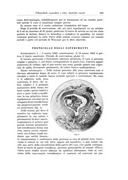 Archivio italiano di chirurgia