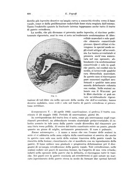 Archivio italiano di chirurgia