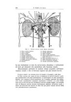 giornale/PUV0110166/1933/V.34/00000556