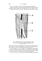 giornale/PUV0110166/1933/V.34/00000816