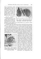 giornale/PUV0110166/1933/V.34/00000817