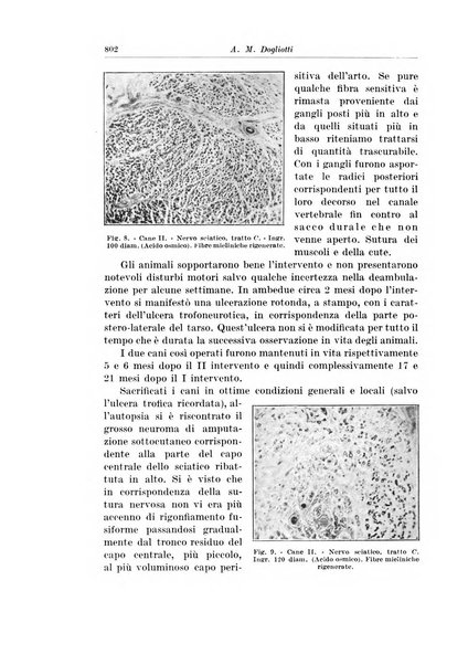 Archivio italiano di chirurgia