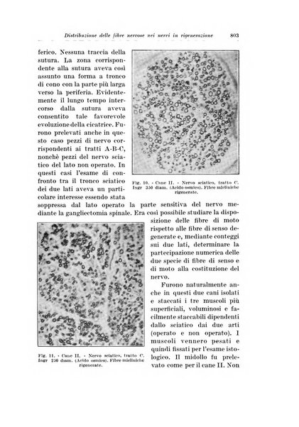 Archivio italiano di chirurgia