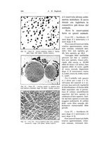 giornale/PUV0110166/1933/V.34/00000822