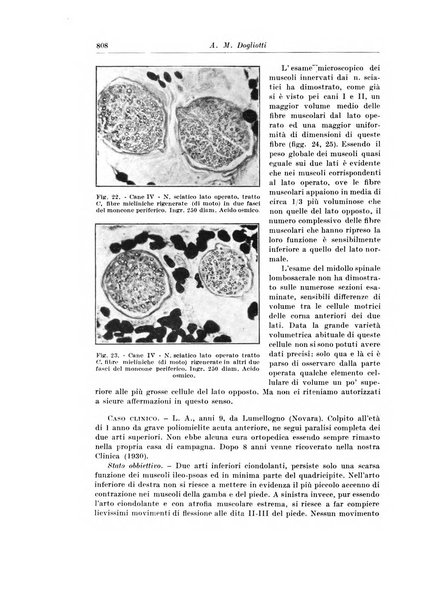 Archivio italiano di chirurgia