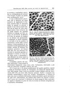 giornale/PUV0110166/1933/V.34/00000827