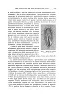 giornale/PUV0110166/1934/V.36/00000131