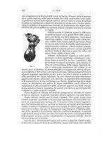giornale/PUV0110166/1934/V.37/00000224