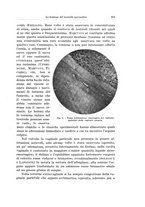 giornale/PUV0110166/1934/V.37/00000227