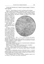 giornale/PUV0110166/1934/V.37/00000379