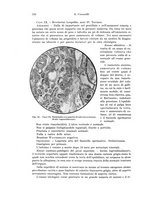 giornale/PUV0110166/1934/V.37/00000388