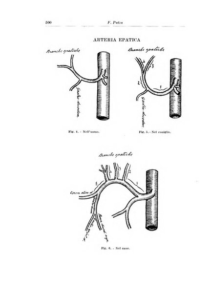 Archivio italiano di chirurgia