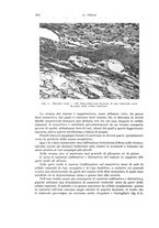 giornale/PUV0110166/1934/V.37/00000534